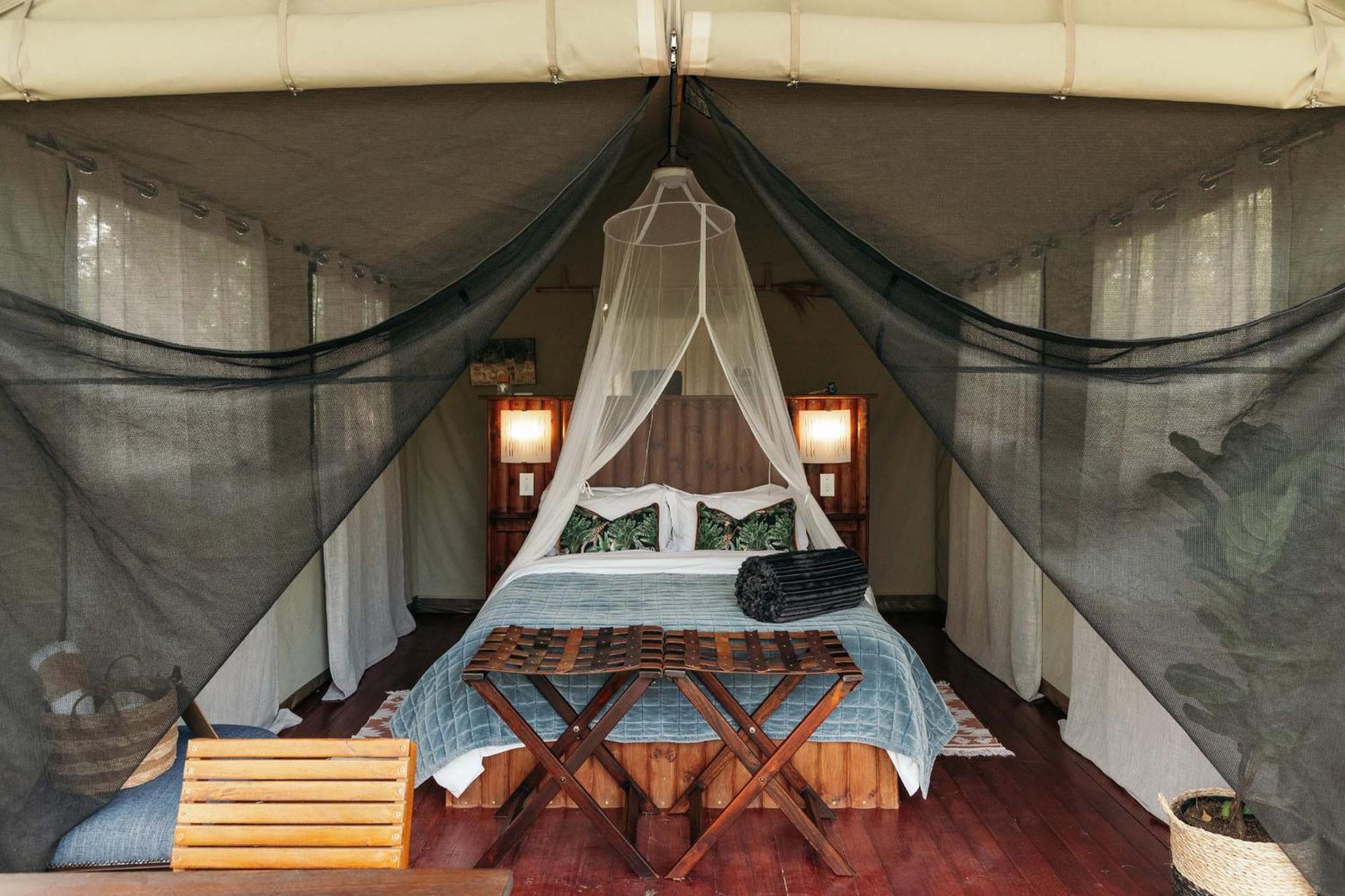 Isambane Camp Βίλα Balule Game Reserve Εξωτερικό φωτογραφία
