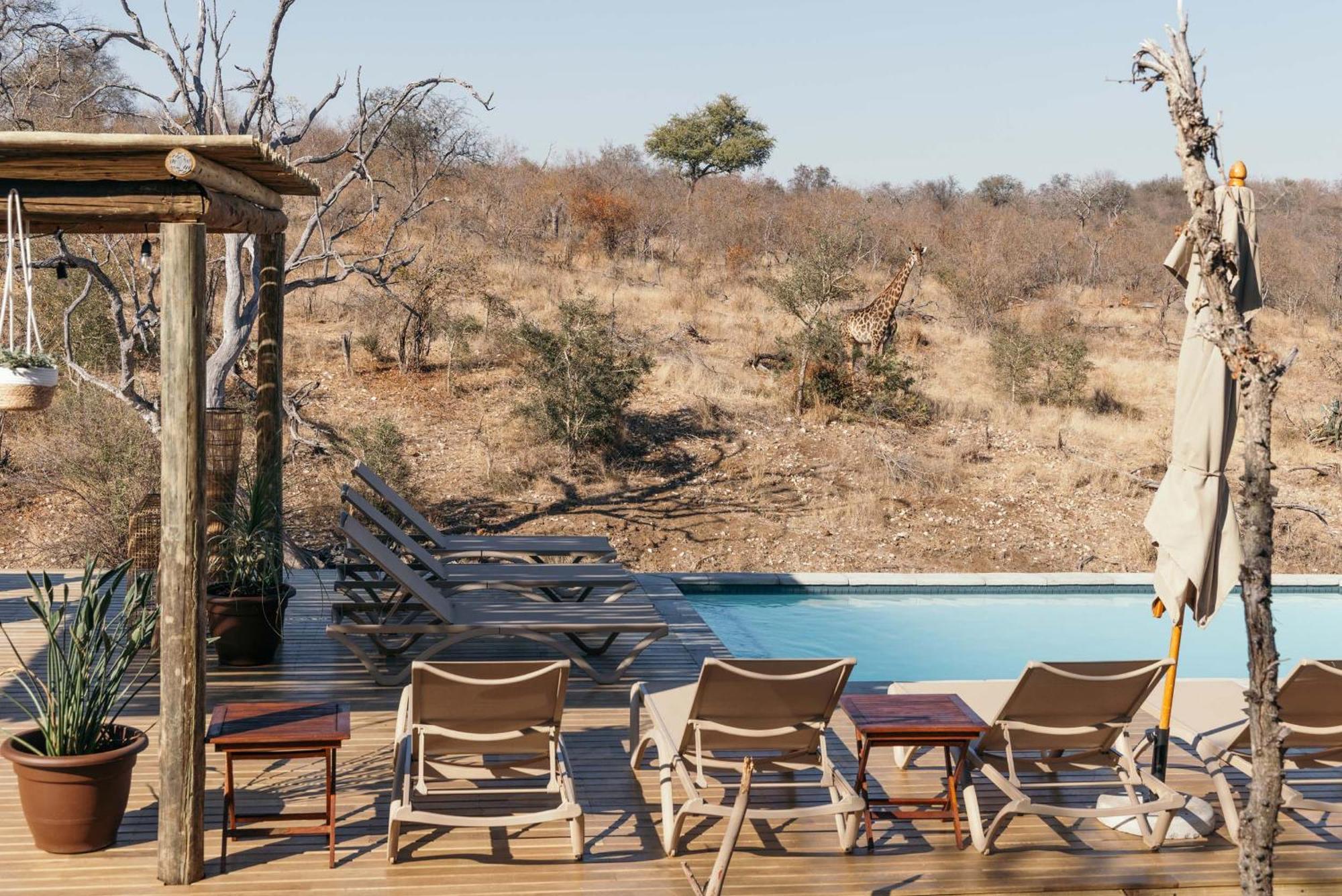 Isambane Camp Βίλα Balule Game Reserve Εξωτερικό φωτογραφία